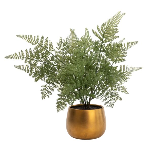 Candlelight 22Cm Fern Artificial Plant In Gold Ceramic Pot