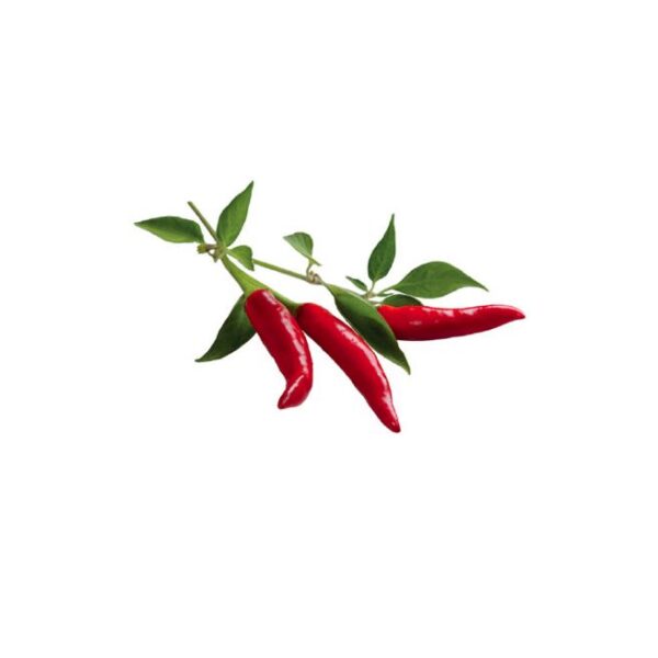 Click and Grow Smart Garden Refill 3 stk. Planter: Chili Pepper