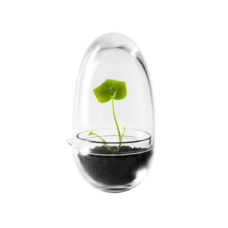 Design House Stockholm - Grow Greenhouse - Clear - Small