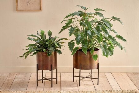 Nkuku Juoni Iron Planter | Vases & Planters | Aged Antique | Small