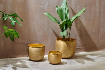 Nkuku Tembesi Etched Planter | Vases & Planters | Antique Brass | Extra Large
