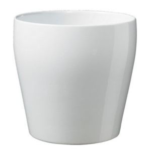 SK Brushed White Ceramic Plant Pot