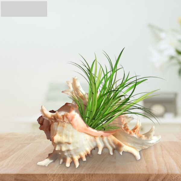 Sea Shell Plantepotter Naturlig Conch Air Planteholder Home Decoration Hængende urtepotte