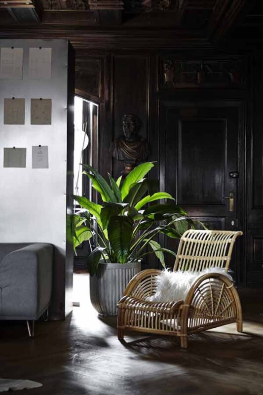 Sika Design Paris stol by Arne Jacobsen - natur B.